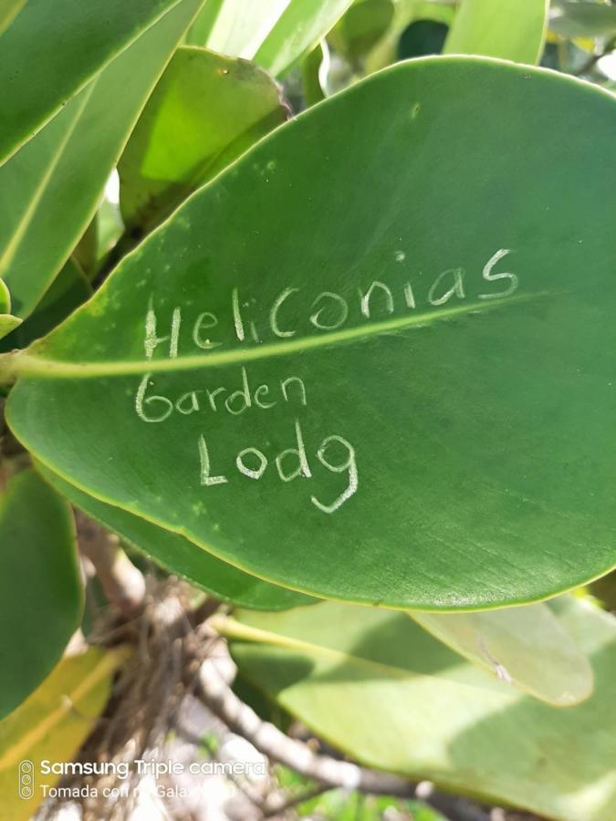Garden Of Heliconias Lodge Drake Bay ภายนอก รูปภาพ